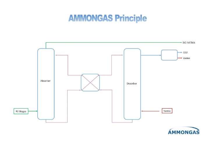ammongas-549bd161